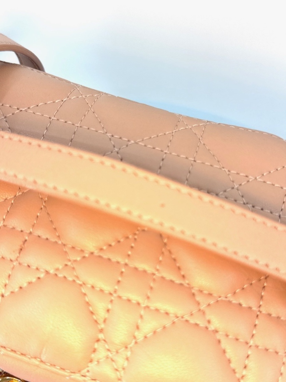 Dior Travel Vanity Bag - Rose Des Vents - Picture 12 of 13